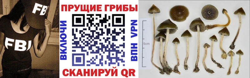 Псилоцибиновые грибы ЛСД  Любань 
